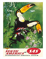 South America - Tocu Toucans - SAS Scandinavian Airlines System - Fine Art Prints & Posters