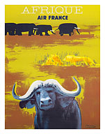 Africa (Afrique) - African Wildlife - African Buffalo and Elephants - c. 1956 - Fine Art Prints & Posters
