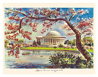 Jefferson Memorial in Cherry Blossom - Washington, D.C. - c. 1949 - Fine Art Prints & Posters