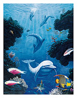 Dolphin Smiles - Fine Art Prints & Posters
