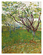 The Flowering Orchard - Arles, France - c. 1888 - Fine Art Prints & Posters