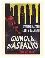 The Asphalt Jungle (Giungla Di Asfalto) - Starring Sterling Hayden Director John Huston - c. 1950 - Fine Art Prints & Posters
