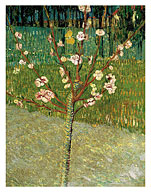 Almond Tree in Blossom - c. 1888 - Fine Art Prints & Posters