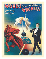 Wood’s Woodita Startling Sensation - c. 1908 - Fine Art Prints & Posters