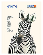Africa - Come and See Our Stars and Stripes - Zebra - South African Airways - Fine Art Prints & Posters