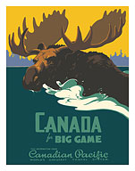 Canada for Big Game - Canadian Pacific Railway - Moose - c. 1939 - Fine Art Prints & Posters