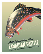 Trout Fly Fishing - Canadian Pacific Railway - Brook Trout Fish - c. 1942 - Fine Art Prints & Posters