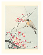 Songbird on Blossom Branch - c. 1900 - Fine Art Prints & Posters