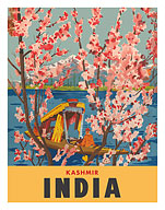 Kashmir India - Dal Lake - Almond Blossoms - c. 1950 - Fine Art Prints & Posters