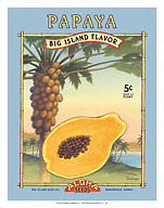 Papaya - Aloha Seeds - Big Island Seed Company - Big Island Flavor - Fine Art Prints & Posters