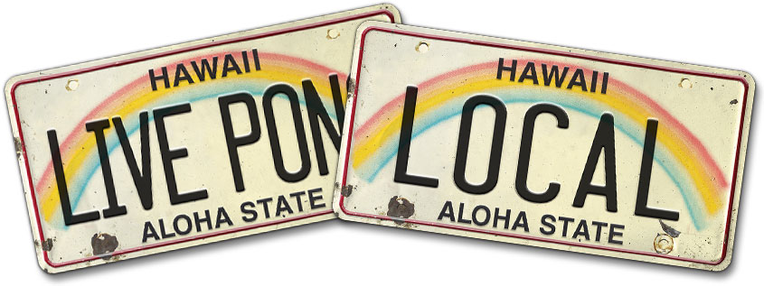 Hawaiian Vintage License Plate Magnets