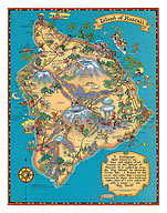 Hawaiian Island of Hawaii (Big Island) Map - Vintage Colored Cartographic Map by Hawaii Tourist Bureau - Fine Art Prints & Posters