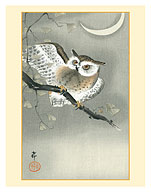 Long-Eared Owl in Ginkgo - c. 1900 - Fine Art Prints & Posters