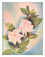 Hawaiian Gardenia (Nanu) - Fine Art Prints & Posters