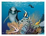 Coral Garden, Hawaiian Dolphin - Fine Art Prints & Posters