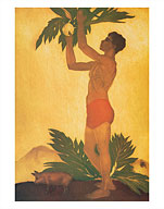 Breadfruit Boy, Hawaii - Fine Art Prints & Posters