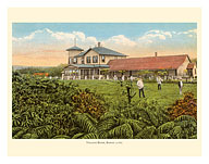 Volcano House, Hawaii - Directly Overlooking Crater - Hawaii Volcanoes National Park - c. 1921 - Giclée Art Prints & Posters