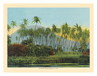 Coconut (Cocoanut) Palms - Hawaii - c. 1910 - Fine Art Prints & Posters