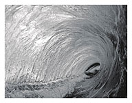 Black and White Tube Barrel - Hawaiian Breaking Wave - Hawaii - Fine Art Prints & Posters