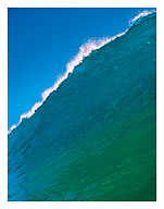 Cresting Ocean Wave - Hawaii - Fine Art Prints & Posters