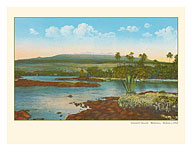 Coconut Island - Moku Ola (Island of Life) - Hilo Bay, Big Island, Hawaii - c. 1924 - Fine Art Prints & Posters