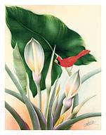 Hawaiian Red Cardinal - Fine Art Prints & Posters