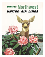 United Air Lines: Pacific Northwest - Fine Art Prints & Posters