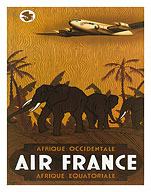 Aviation: Afrique Occidentale Afrique Equatoriale - French West & Equatorial Africa - Fine Art Prints & Posters