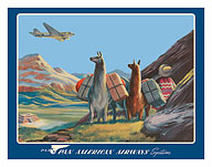South America - Wings Over the World - Pan American Airways System - Douglas DC-3 - c. 1930's - Fine Art Prints & Posters