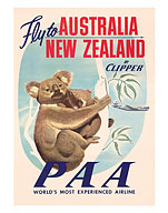 Fly to Australia and New Zealand - Koala - Fine Art Prints & Posters