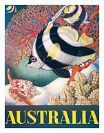 Australia, Great Barrier Reef - Fine Art Prints & Posters