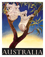Australia Koala - Fine Art Prints & Posters
