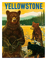 Yellowstone Go Greyhound - Bears at the Park - Fine Art Prints & Posters
