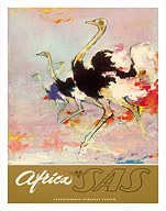 Africa - African Ostriches - SAS Scandinavian Airlines System - Fine Art Prints & Posters