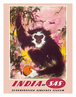 India - by SAS Scandinavian Airlines System - Black Monkey - Fine Art Prints & Posters