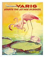 Brazil - Varig starts the jet age in Brazil - Flamingos - Fine Art Prints & Posters