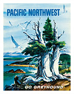 Pacific Northwest - Go Greyhound (Greyhound Bus Lines) - Fine Art Prints & Posters