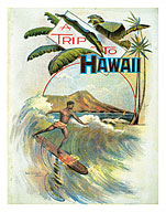 A Trip To Hawaii - Giclée Art Prints & Posters