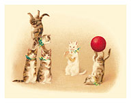 Cats - Playful Kitten Circus - c. 1910's - Giclée Art Prints & Posters