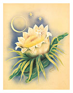 Hawaii Night Blooming Cereus - Fine Art Prints & Posters