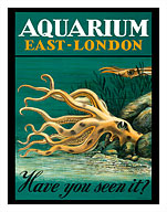 East-London Aquarium - South Africa - Have you seen it? - Octopus and Squid - Fine Art Prints & Posters