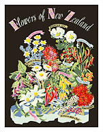 Flowers of New Zealand - Fine Art Prints & Posters