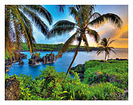 Where Da Coconuts Grow, Maui, Hawaii - Fine Art Prints & Posters
