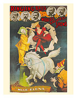 Ringling Brothers Circus - World's Greatest Shows - Bareback Horse Rider M'll'e Elena - c. 1895 - Giclée Art Prints & Posters