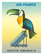 South America - Aviation - Toucan on Airplane Stairs - Fine Art Prints & Posters