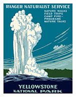 Yellowstone National Park - Old Faithful Geyser - Ranger Naturalist Service - Fine Art Prints & Posters