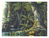 Amazon Rain Forest, Brazil - Palm Trees - Hunting Cheetah - Fine Art Prints & Posters