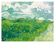 Green Wheat Fields, Auvers, France - c. 1890 - Fine Art Prints & Posters