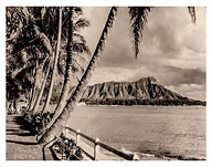 Honolulu Hawaii - Diamond Head Crater and Palms - Fine Art Prints & Posters