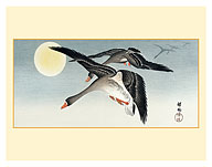Birds at Full Moon - c. 1900 - Fine Art Prints & Posters